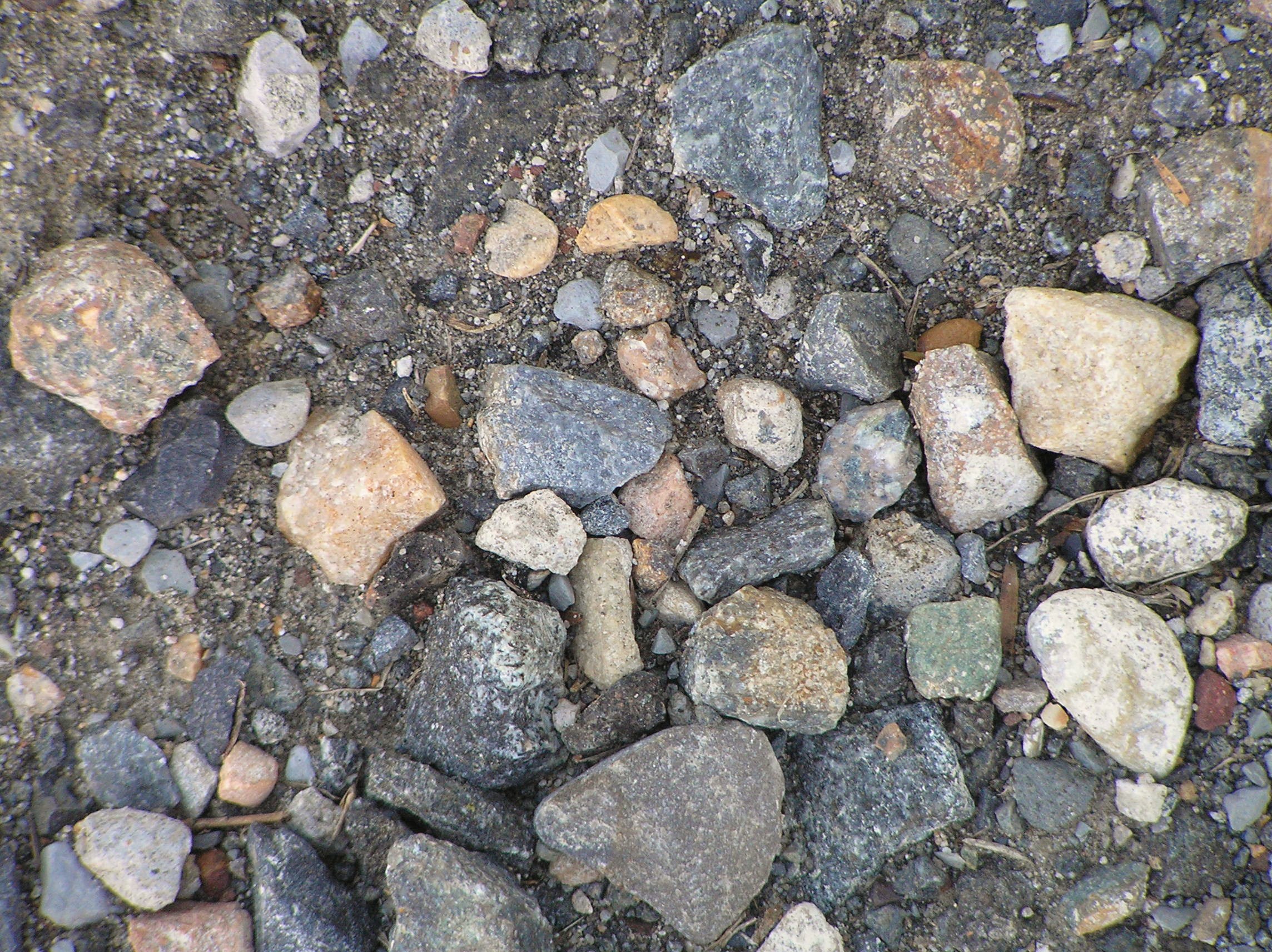 Ground stone. Аргиллит Горная порода. Алевролит Горная порода. Алевролиты и аргиллиты. Алевролит камень.